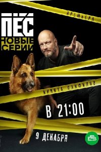 Пёс 1, 2, 3, 4, 5, 6 сезон Пёс 1, 2, 3, 4, 5, 6 сезон