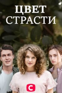 Цвет страсти / Цвет мести 1, 2, 3, 4 сезон Цвет страсти / Цвет мести 1, 2, 3, 4 сезон